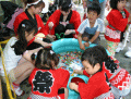 お祭りイベントでスーパーボールすくいをしています